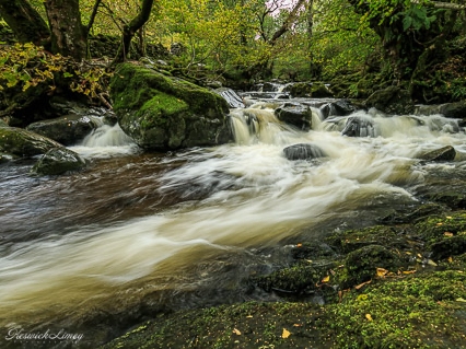 Cascades on the Aira beck tubbling over the rocks and surrounded by woodland and moss covered rocks.