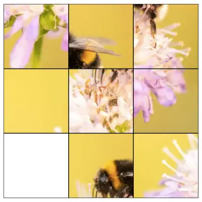 View of the bee puzzle with the picture all scrambled